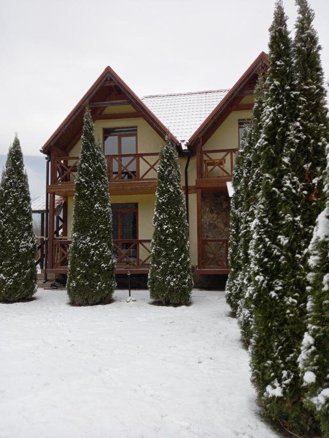 На Березі Черемошу Verkhovyna Buitenkant foto