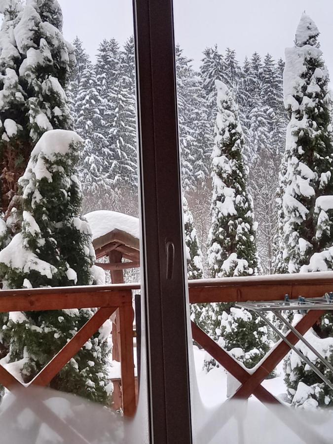 На Березі Черемошу Verkhovyna Buitenkant foto