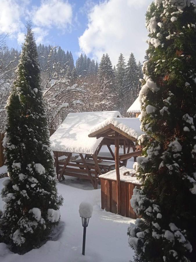 На Березі Черемошу Verkhovyna Buitenkant foto